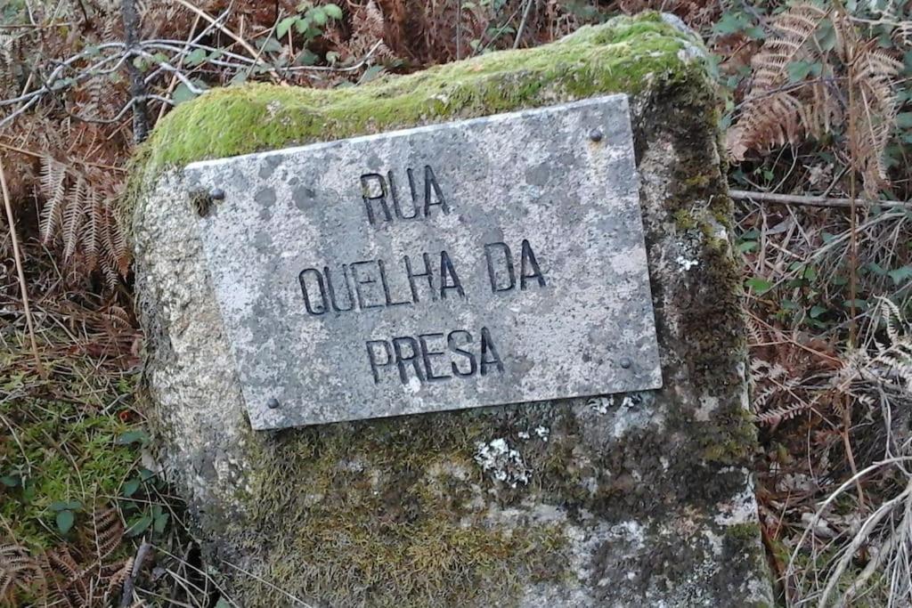 Casa Quelha da Presa Espinho (Vouzela, Viseu) Exterior foto
