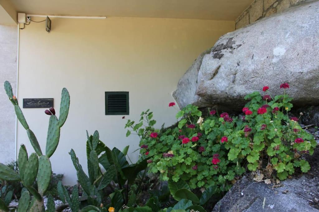 Casa Quelha da Presa Espinho (Vouzela, Viseu) Exterior foto